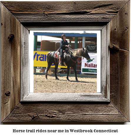 horse trail rides near me in Westbrook, Connecticut